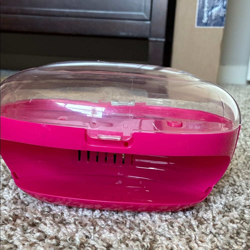 Pink and Clear Plastic Container